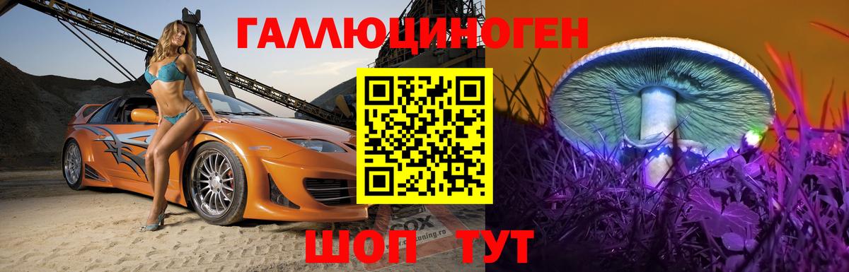 Михайловск  Псилоцибиновые грибы Psilocybine cubensis  наркотики  Галлюциногенные грибы мицелий  Вход с VPN 