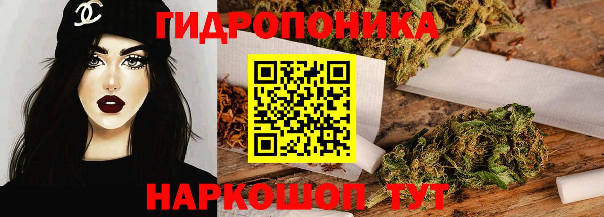 МАРИХУАНА конопля Михайловск